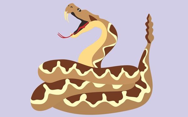 为什么响尾蛇的尾巴会响,响尾蛇尾巴会响的原理
