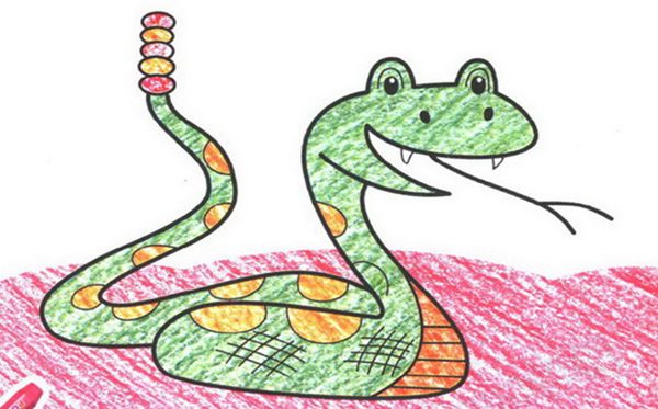 为什么响尾蛇的尾巴会响,响尾蛇尾巴会响的原理
