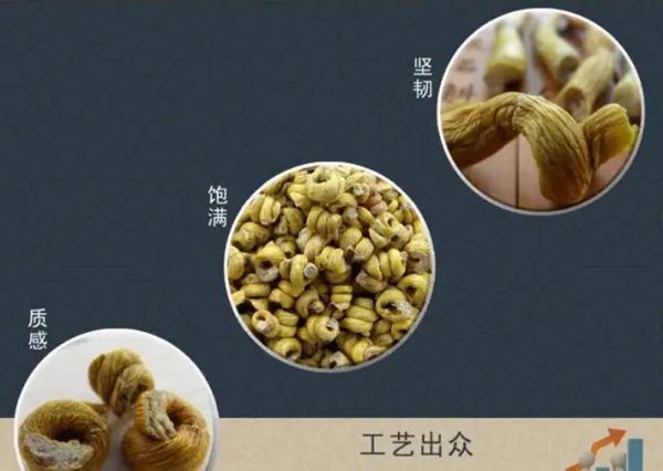 为什么石斛排名九大仙草之首,石斛的功效与作用
